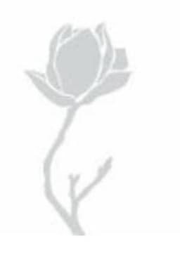 Magnolia Flor
